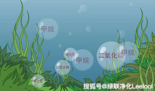 星空真人净化