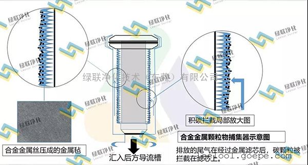 星空真人净化