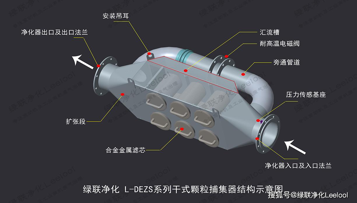 星空真人净化